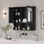 Armoire à pharmacie murale avec miroir de salle de bain, tablettes ouvertes et rangement ajustable-2043755860