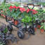 Les chariots de chariot de jardin facilitent le transport du bois de chauffage TC1840BKG