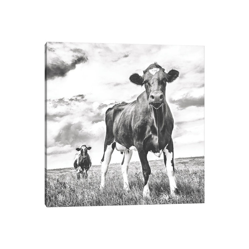 Waiting BW Light Crop by Aledanda - Wrapped Canvas Print, 30.48 cm H x 30.48 cm W