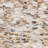 Baroque 12" x 12" Seashell Mosaic Wall Tile