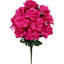 14 tiges de rosier-24079491-87862035