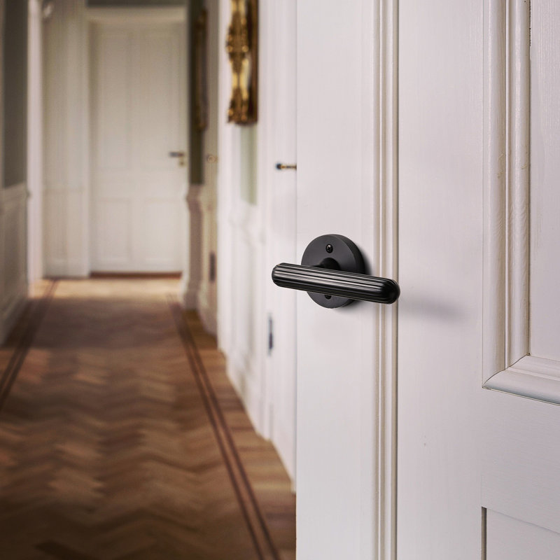 Poignée de porte d'intimité en laiton avec rosette ronde, Noir mat