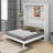 Queen Murphy Bed With Shelves