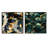 Rich Blue And Gold Marble Mosaic Pattern - Abstract Botanicals Square Collage Set Of 2-101846950-101846953