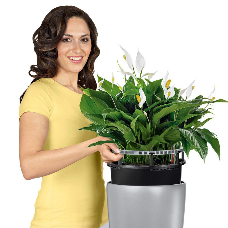 Rondo Pot Planter, 75cm H x 40cm W x 40cm D, Sliver