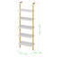 Troy 184.5cm H x 60cm W Iron Ladder Bookcase