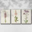 Mauve Garden Flowers I, ensemble de 3 toiles encadrées sur toile-92302387-92302386