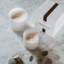 Star Magnolia Scented Jar Candle-38053263