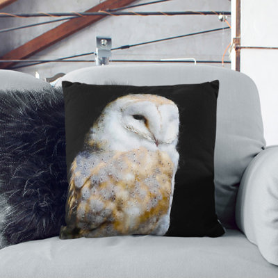 Barn Owl Vol.3 Painting Square Throw Cushion