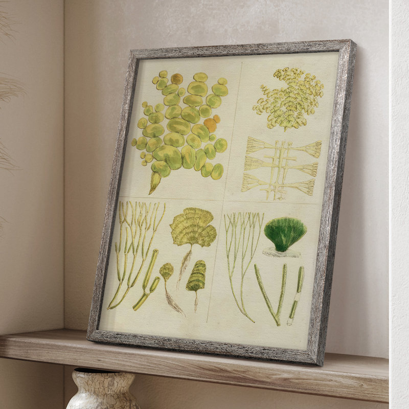 Vintage Sea Grass IV Framed Print - Solid Wood, 15" H x 12" W