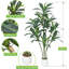 Arrangement