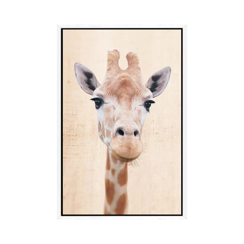 Manyara by Rachael Hale - Print on Canvas, 66.04 cm H x 45.72 cm W, White Framed