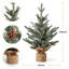 2' H Lighted Artificial Christmas Tree