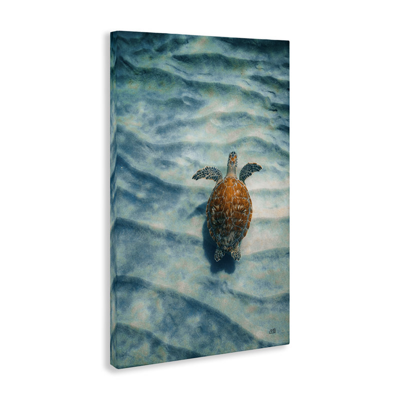  Tortue le long du sable ondulé, art mural par Max Blakesberg Studios, H 24 po x l 16 po