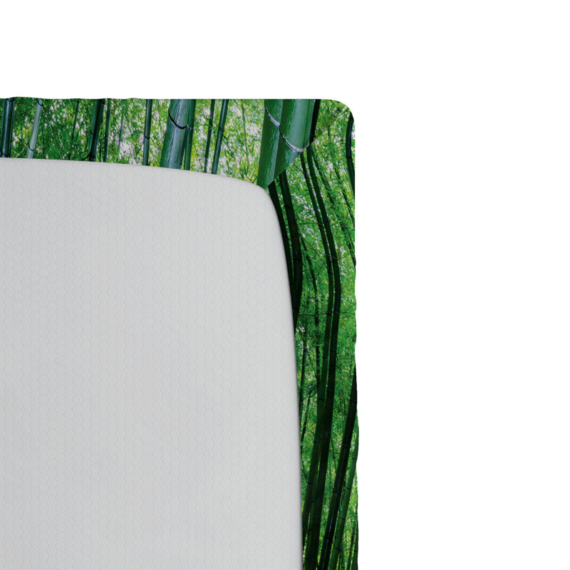 Ensemble de 2 draps-housse Ambesonne Jungle, Drap-housse de taille double