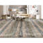 Striped Area Rug in Gray