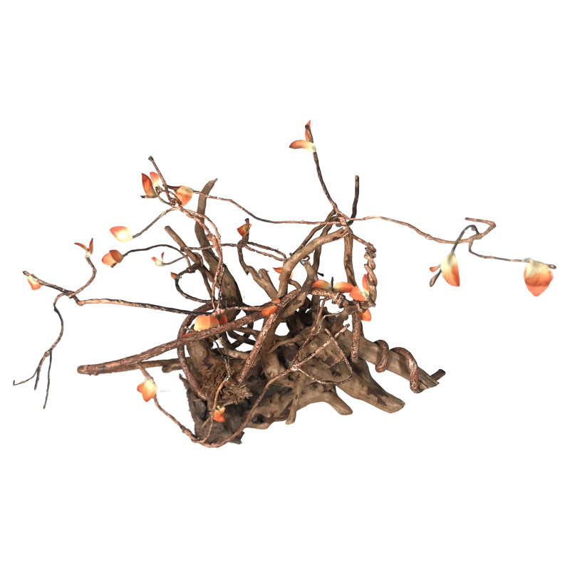 Ensemble d'accessoires pour terrarium Reptology, 5 pi x 3/8 po