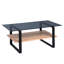 Kranti Sled Coffee Table with Storage