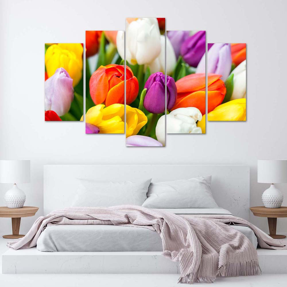 Leinwandbild Bunte Tulpenblüten