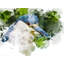 Bird 9904 Print by Chamira Young-71200185-71200186