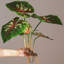 Plante artificielle 19,6 po