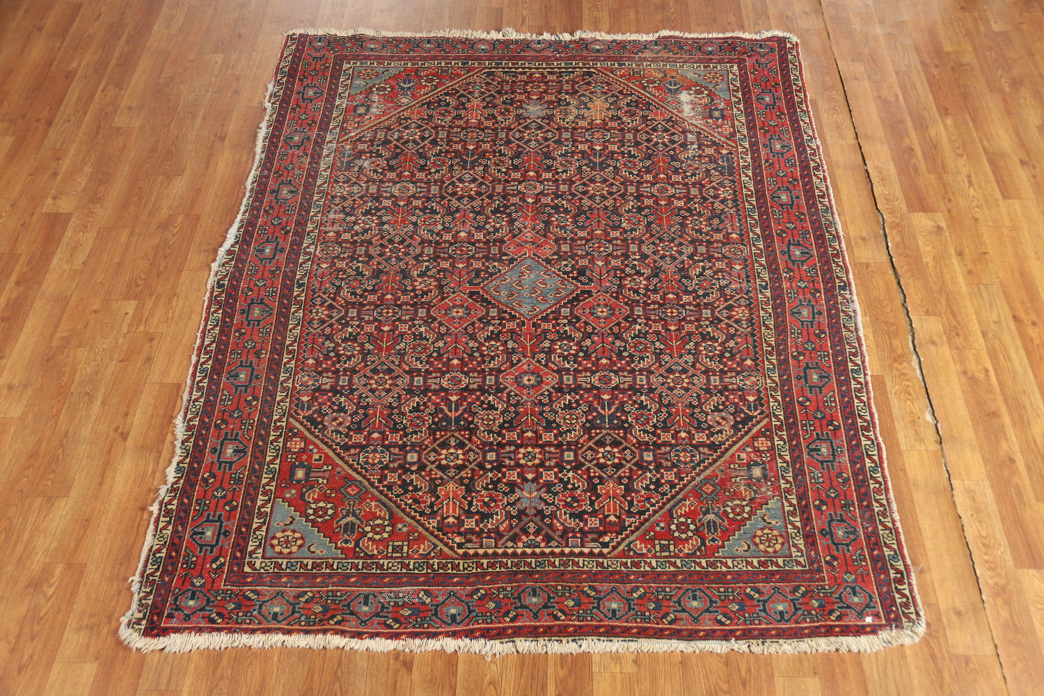 Canora Grey Pre-1900 Antique Vegetable Dye Traditional Rug 5x6 | Wayfair