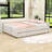 Upholstered Daybed with USB and Twin Trundle-107339405
