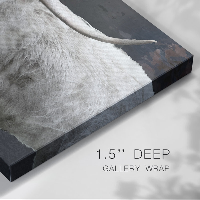 Toile tendue Longhorn