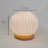 Solid Wood Globe Lamp