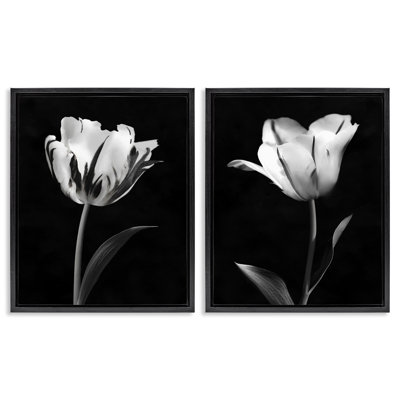 Ensemble de cadres flottants 2 pièces Contrast Modern Flowers, design par CAD Designs