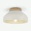 Maleeny Flush Mount-489336173