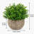 4.7" Mini Artificial Green Plant with Paper Pulp Pot