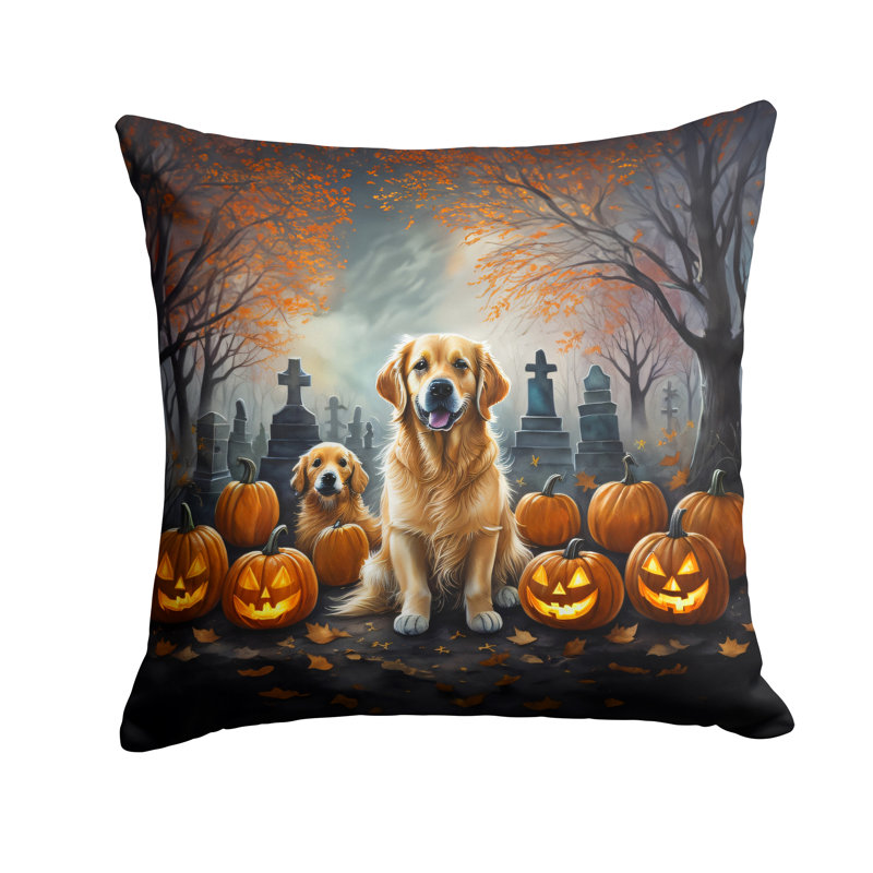  Housse et insert de coussin décoratif en polyester, 14 po x 14 po