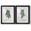 Sprig of Christmas Time - ensemble de 2 reproductions d'art-423231504-431257323-500078377