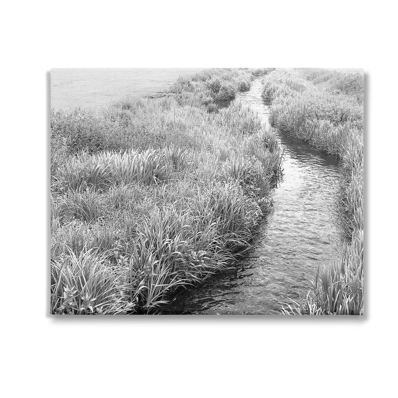 "Flowing Beach Canal", art mural par Sarah Jane, H 16 po x l 20 po, Giclée encadrée noir minuit