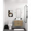 Avila 30" W Wall Mounted Single Bathroom Vanity-965590457-1003230111-1003230113