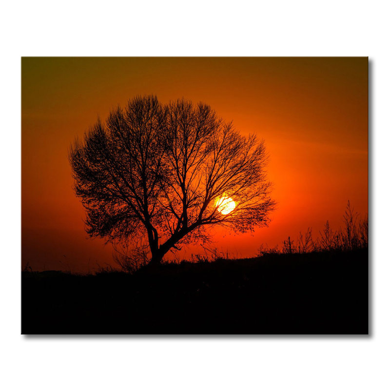 Stretched On Wooden Frame Print on Canvas, 80cm H x 100cm W x 2cm D