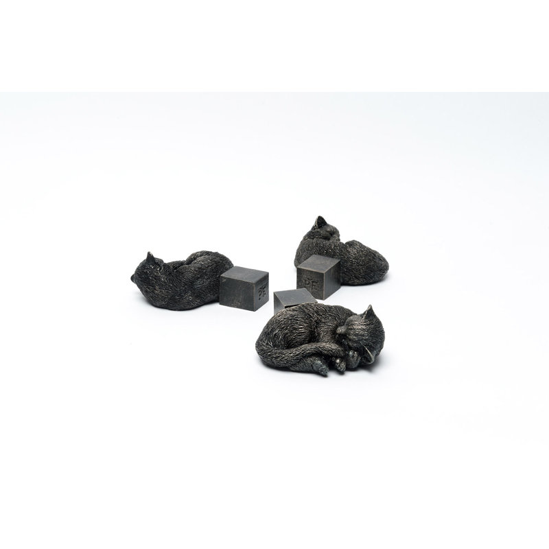 Pieds de jardinière couleur chat dormant dans une boîte cadeau