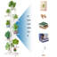 Devona Plant Stand - Set of 9