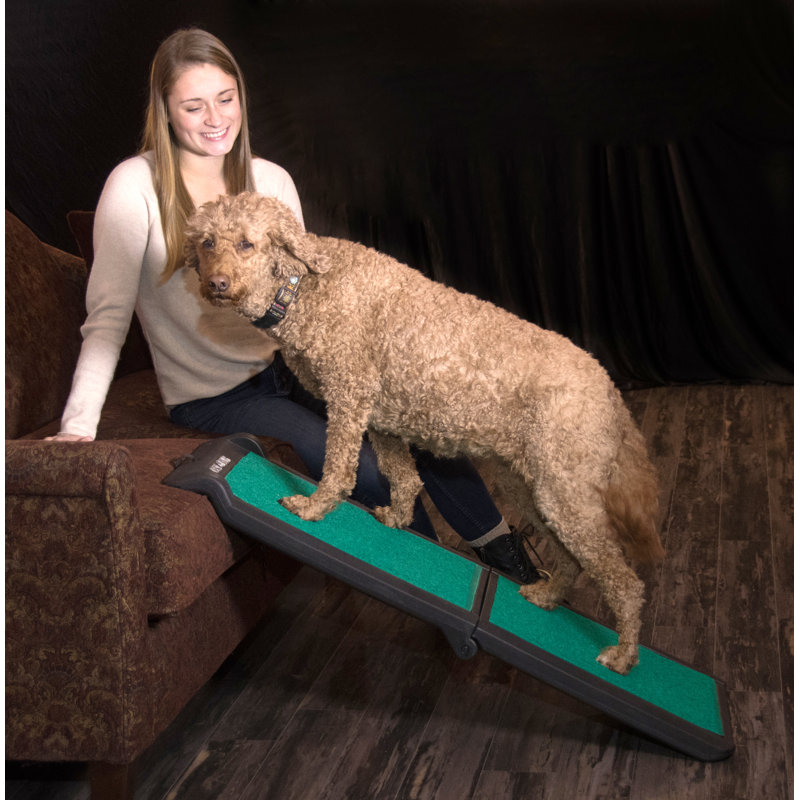 Portable Black and Green Bi-Fold Pet Ramp with Supertrax