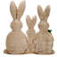 Ensemble de 3 décorations de table de printemps pour lapin