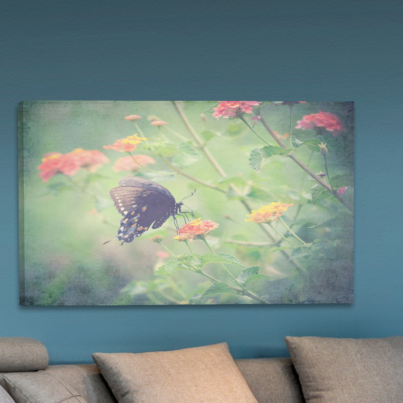 Captivating by Robert Dickinson - Wrapped Canvas Print, 102cm H x 152cm W x 4cm D