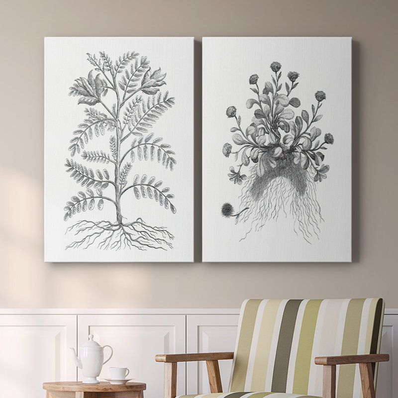 Toile tendue avec châssis noir et blanc pour plante B&W - prêt à accrocher