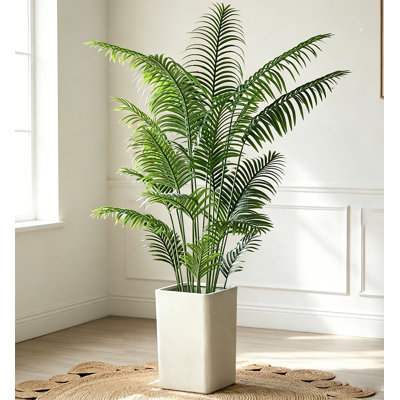 Palmier Scortech simple et réaliste - plante de présentation multi-scénario