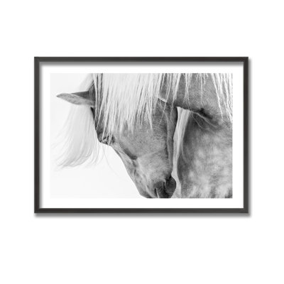 Nature Inspired Halflinger Portrait by - Picture Frame Photograph on Paper