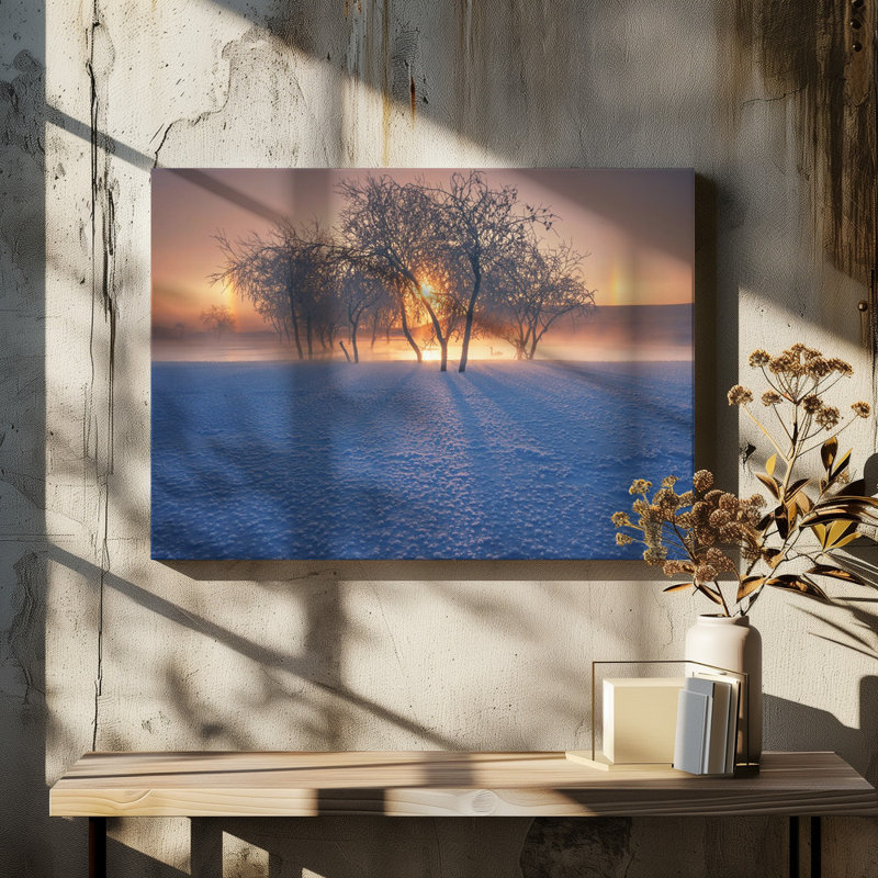 Wrapped Canvas Print, 50.8 cm H x 76.2 cm W