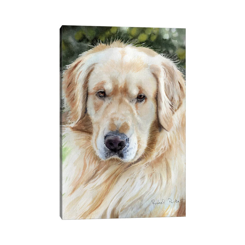 Golden Retriever Portrait, No Matte, 12'' H x 8'' W x 0.75'' D, Wrapped Canvas