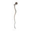 Girouette Kieffer-1260536015