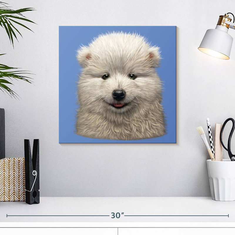 Brampt Samoyed Puppy, 16" H x 16" W