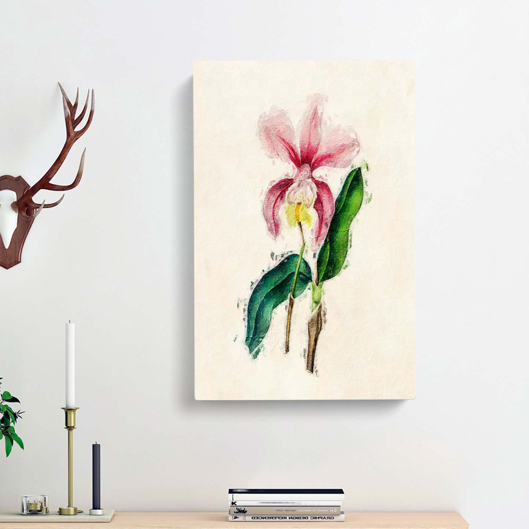 Illustration of a Pink Cattleya Orchid - Wrapped Canvas